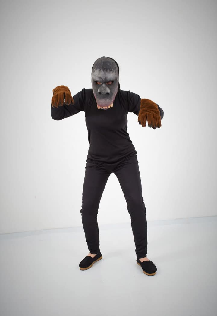Disfraz — Animales — Adultos — modelo 9
