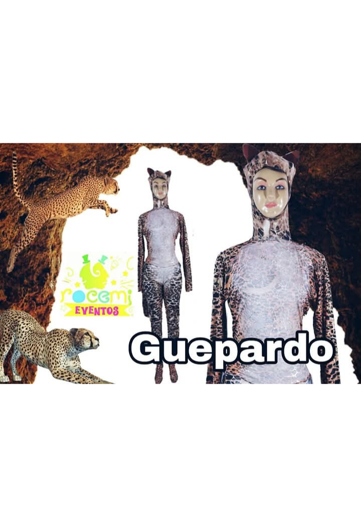 Disfraz — Animales — Adultos — modelo 17