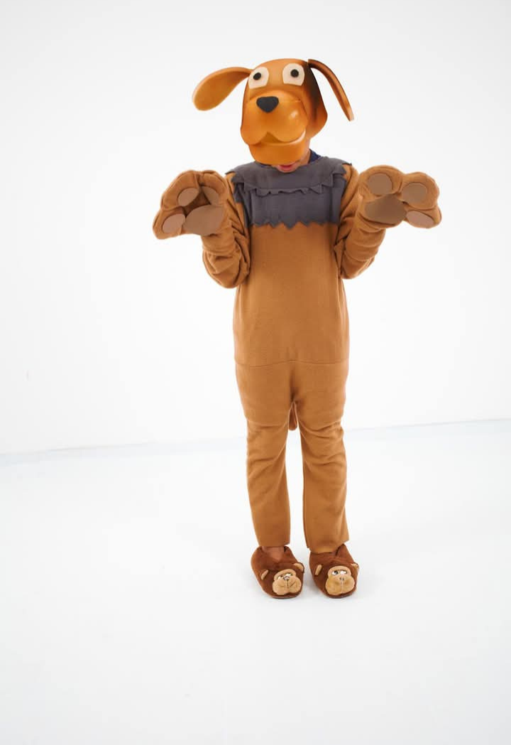 Disfraz — Animales — Niños — modelo 9
