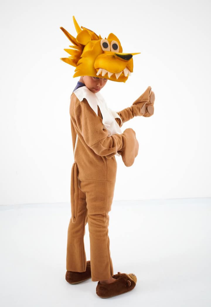 Disfraz — Animales — Niños — modelo 12