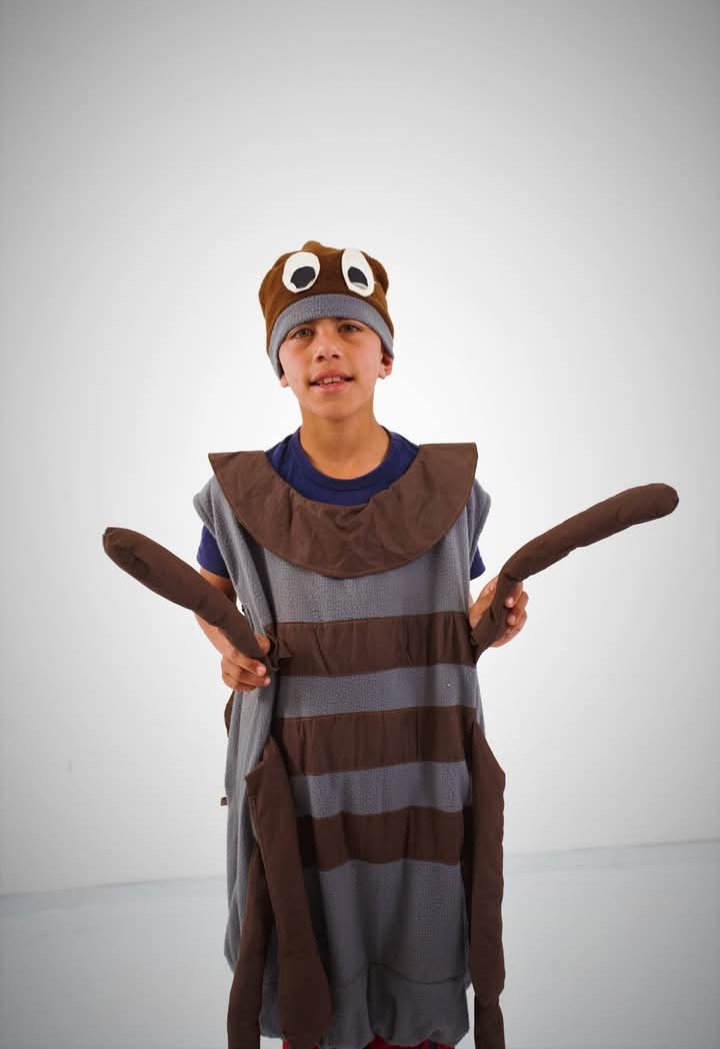 Disfraz — Animales — Niños — modelo 14