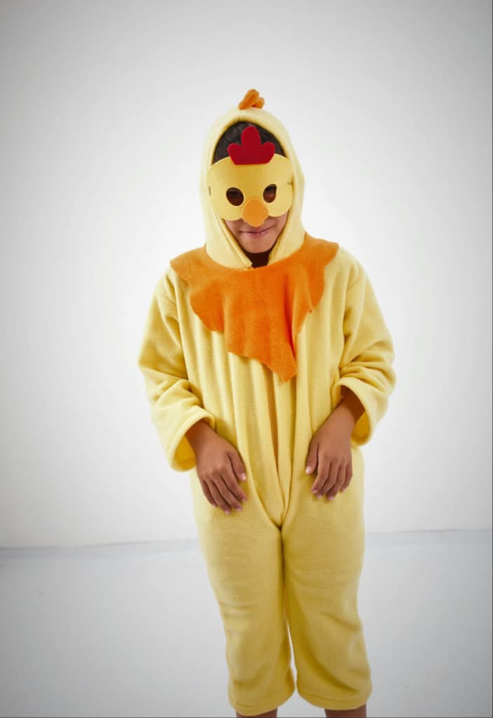 Disfraz — Animales — Niños — modelo 15